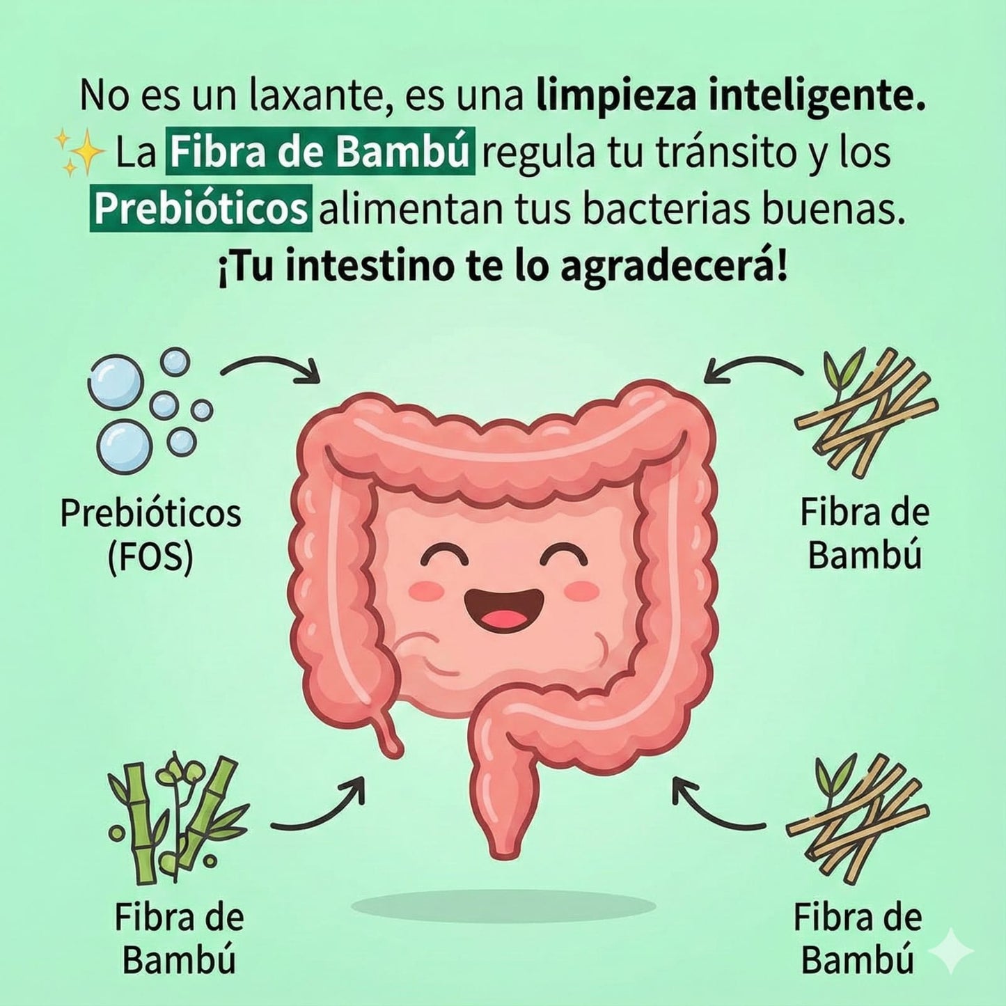 LIV - Fibra, Probióticos, digestión y Control de Peso